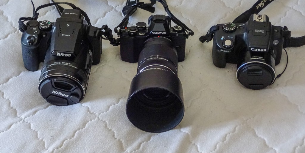 Nikon P900, Olympus OM-D E10 with 75-300 zoom, Canon SX50HS
