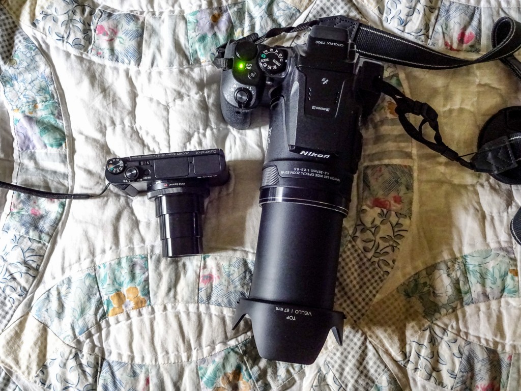 Sony HX90V at 720mm and Nikon P900 at 2000mm.