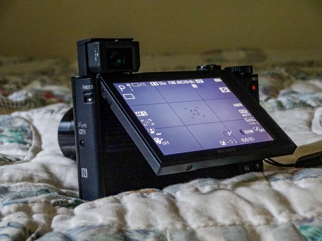 Viewing options. Pop-up, pull out EVF, flip up LCD.