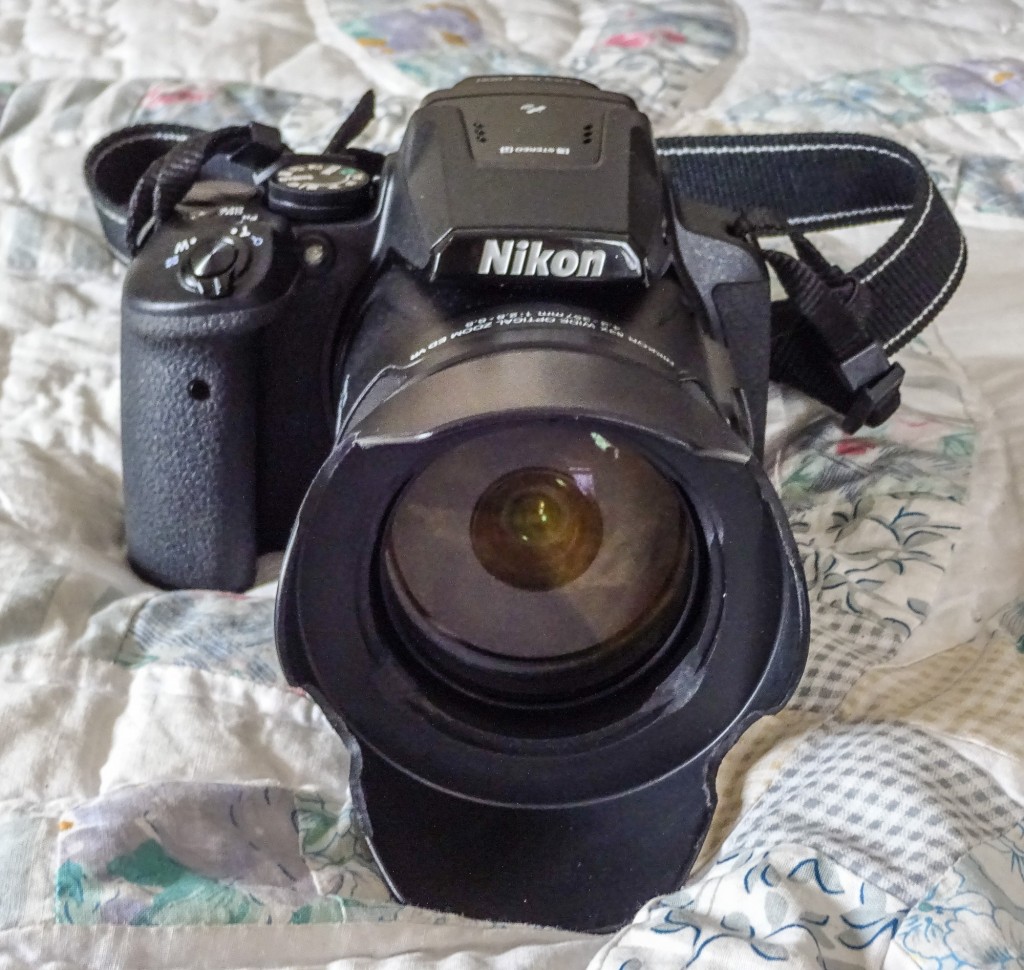 Nikon COOLPIX P900 Digital Camera (Black) - DVM PLUS