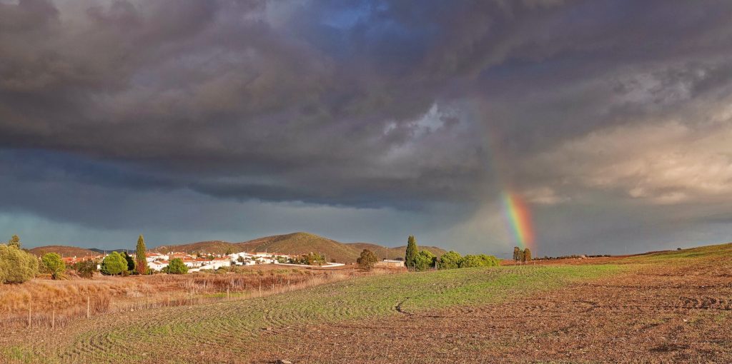 Sony RX10iv the world’s best Point & Shoot bridge camera! Point